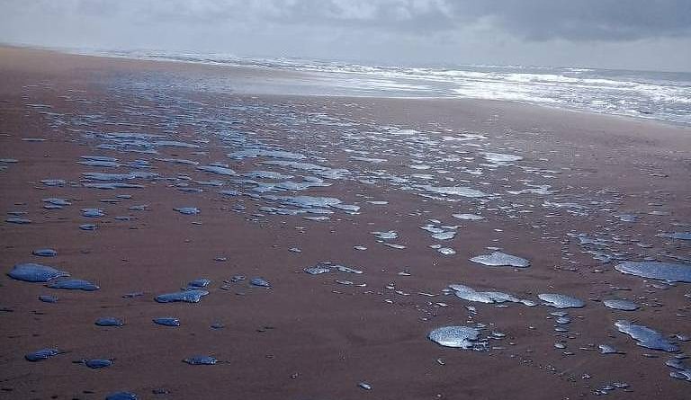 óleo na praia